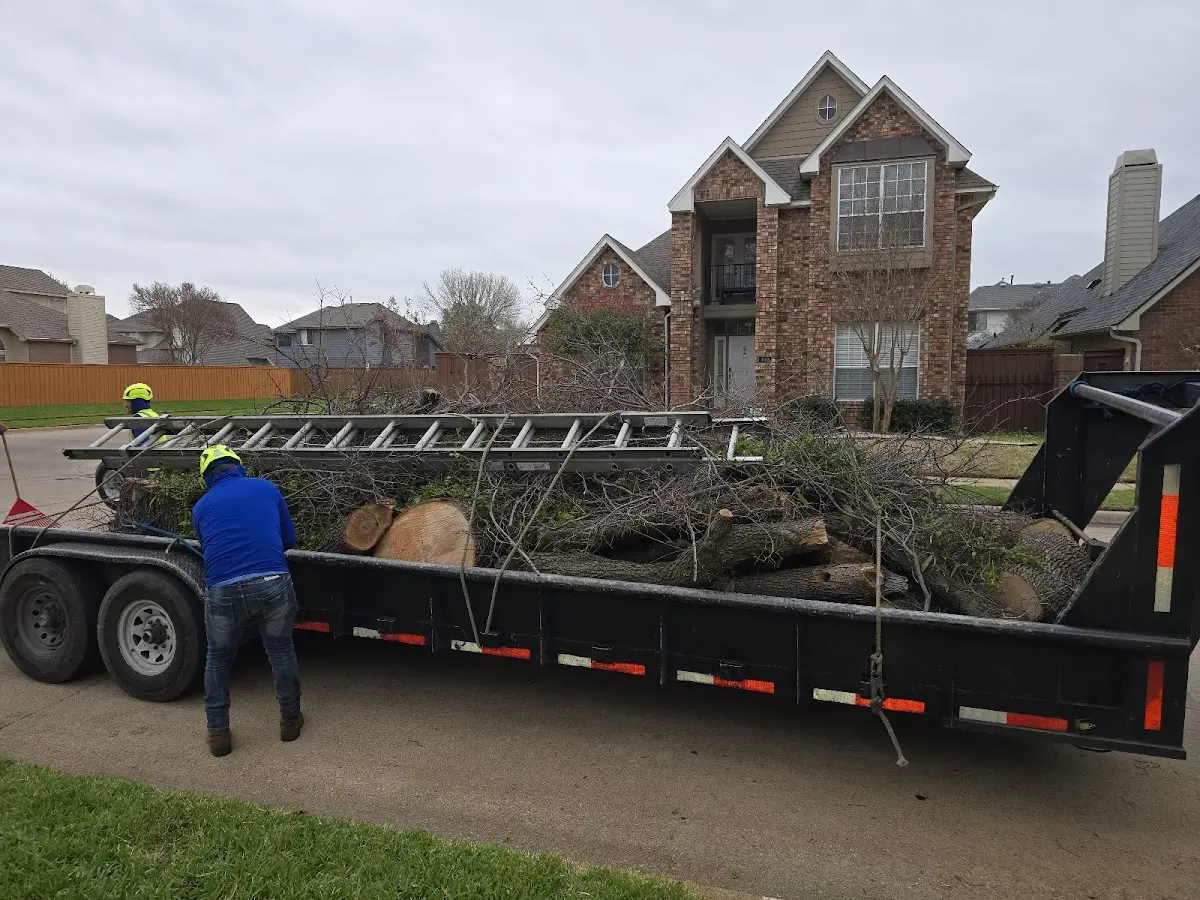 Expert Tree Fertilization with proper safety equipment in Red Rock